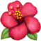 Hibiscus emoji on Apple